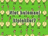 Niet helemaal kiplekker.jpg